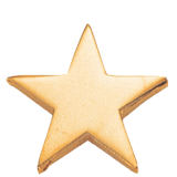 Polished Gold Star Lapel Pin