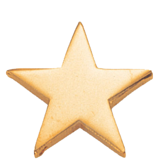 Polished Gold Star Lapel Pin