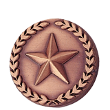 Bronze Star and Wreath Lapel Pin