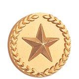 Gold Star and Wreath Lapel Pin