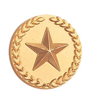 Gold Star and Wreath Lapel Pin