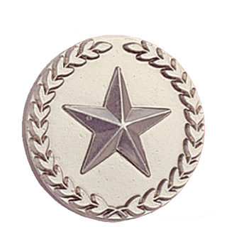 Silver Star and Wreath Lapel Pin