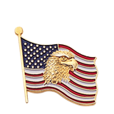 American Flag and Eagle Lapel Pin