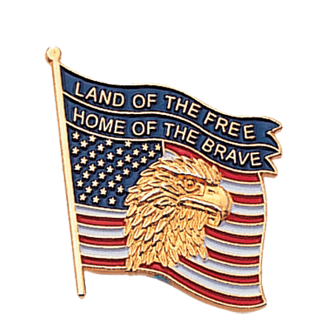 Eagle on American Flag Lapel Pin