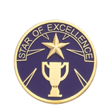 Star of Excellence Lapel Pin