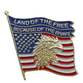 Land of the Free Because of the Brave Lapel Pin