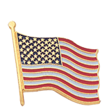 American Flag Color Lapel Pin