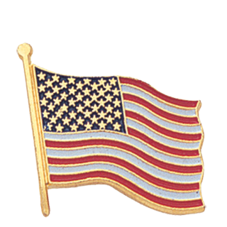 American Flag Color Lapel Pin