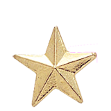 Small Golden Star Lapel Pin