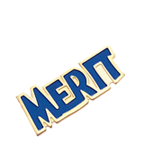 Merit Lapel Pin