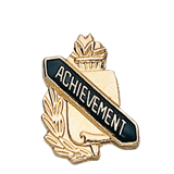 Academic Achievement Lapel Pin