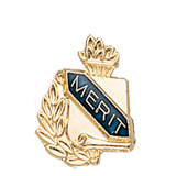 Academic Merit Lapel Pin