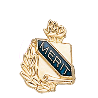 Academic Merit Lapel Pin