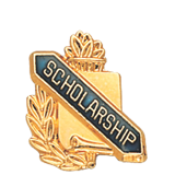 Academic School Scholarship Lapel Pin