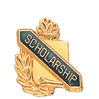 Academic School Scholarship Lapel Pin