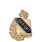 Academic Effort Lapel Pin