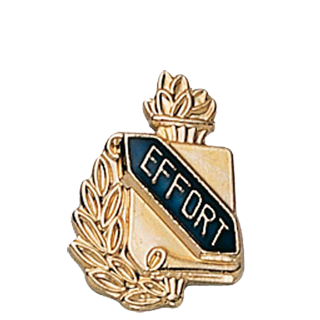 Academic Effort Lapel Pin