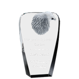 Crystal Breakout Eagle Award