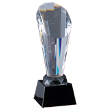 Crystal Spotlight Award - 10