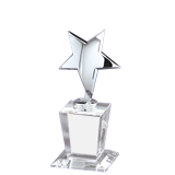 Crystal Silver Star Award - 8
