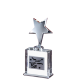 Crystal Silver Star Award - 7.5