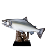 Colorful Salmon Fishing Trophy - 6.25