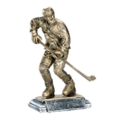Male Hockey Trophy - 9.5