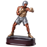 Mens Boxing Fighting Trophy - 9.25