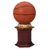 Round Colored Basketball Award - 12