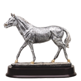 The Walking Horse Trophy - 8