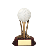 Golf Ball Tee Shot Trophy - 5