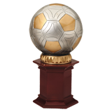 Round Colored Soccer Ball Award - 12