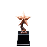 Star of the Sky Trophy - 7.5