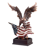 American Flag Eagle Award - 10