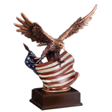 American Flag Eagle Award 12