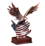 American Flag Eagle Award - 10