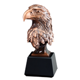American Bronze Eagle Head - 8