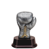 Boxing Glove Trophy - 5