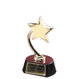 Golden Shooting Star Trophy - 7