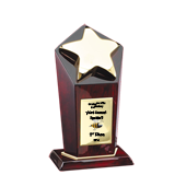 Golden Wood Star Tower Trophy - 8.5