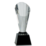 Crystal Spotlight Award - 10