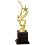 Jubilee Gold Star Award - 13