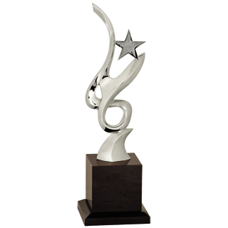 Jubilee Silver Star Award - 13