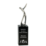 Silver Golfer Award - 9.5