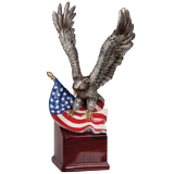 Hand Painted Patriotic Eagle II - 10
