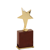 Outstanding Gold Star Trophy - 7.5