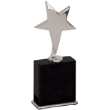 Outstanding Silver Star Trophy - 7.5