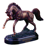 Wild Horse Trophy - 6