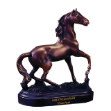 Super Horse Trophy - 7