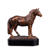 Miniature Horse Trophy - 5